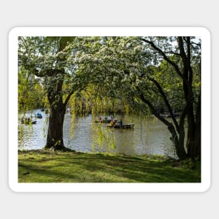 Central Park Row Boats in the Spring New York NY NYC Sticker